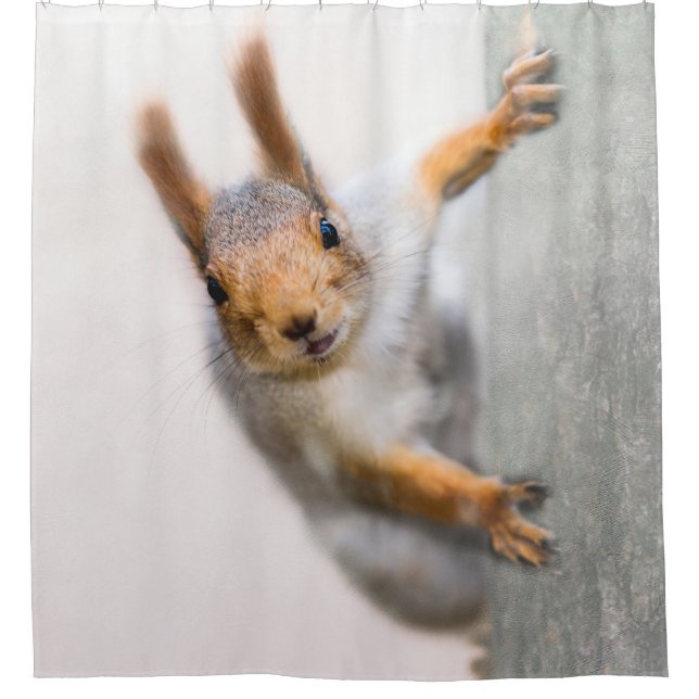 Squirrel - Who Are You Shower Curtain (Front)