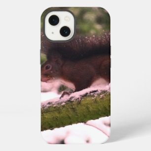 Squirrel Winter Photo iPhone 6/6s, Tough Xtreme Case