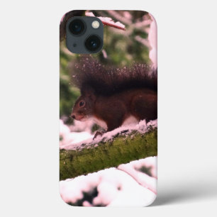 Squirrel Winter Photo  iPhone 6/6s, Tough Xtreme iPhone 13 Case