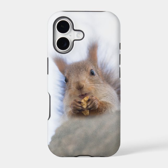 Squirrel with a walnut (Back)