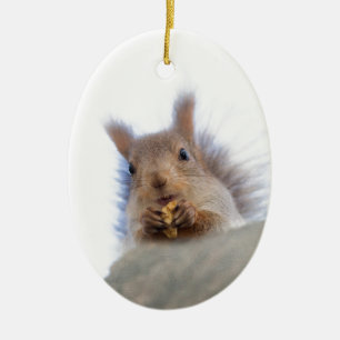 Squirrel with a walnut ceramic tree decoration