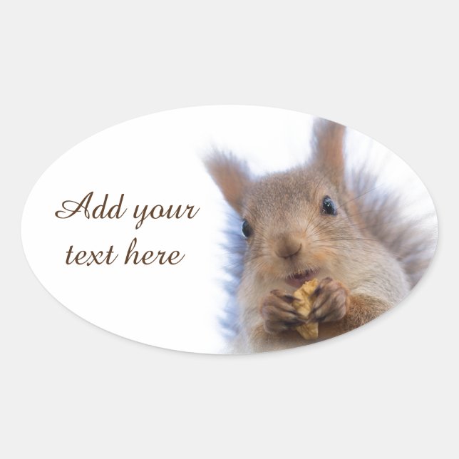 Squirrel with a walnut oval sticker (Front)
