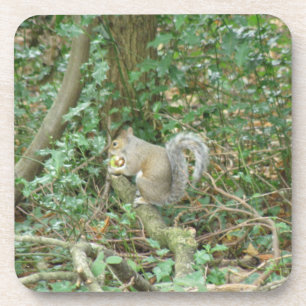Squirrel with Acorn Cork Coaster