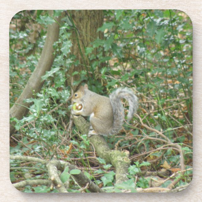Squirrel with Acorn Cork Coaster (Front)