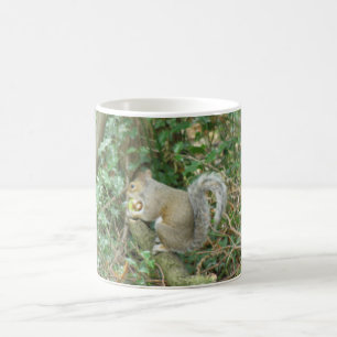 Squirrel with Acorn Mug