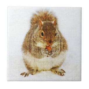 Squirrel with an Acorn Ceramic Tile