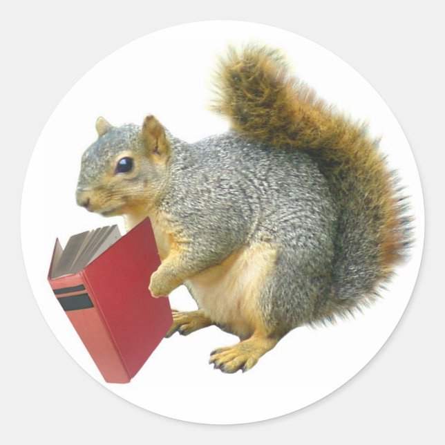 Squirrel with Book Classic Round Sticker (Front)