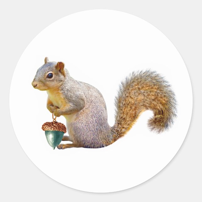 Squirrel with Coloured Acorn Stickers (Front)