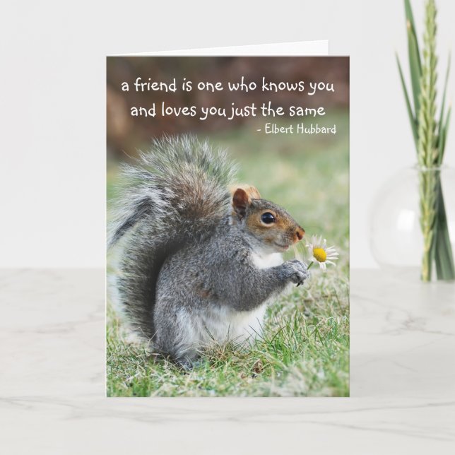 Squirrel with Daisy Friendship Quote Card (Front)