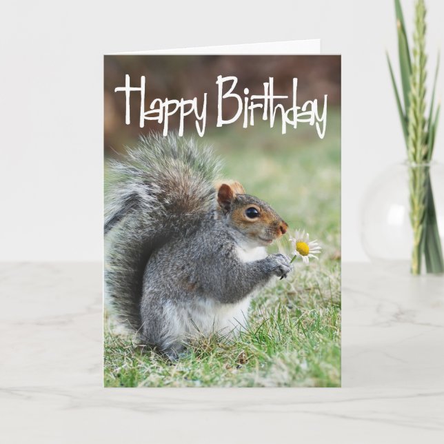 Squirrel with Daisy Happy Birthday Card (Front)