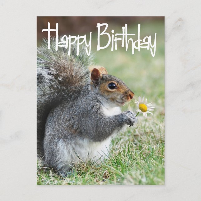 Squirrel with Daisy Happy Birthday Postcard (Front)