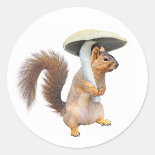 Squirrel with Mushroom Sticker