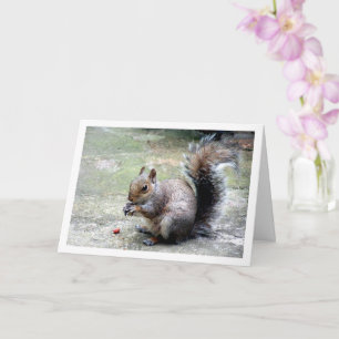 Squirrel with Nut Card