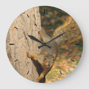 Squirrel with Nut Photograph Large Clock