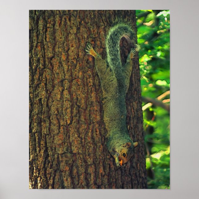 Squirrel With Peanut Wildlife Animal Art Poster (Front)