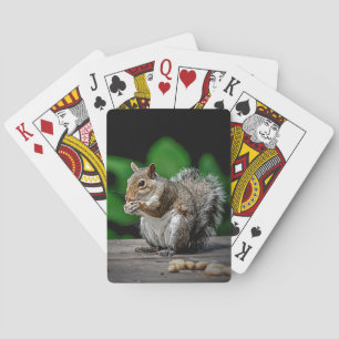 Squirrel with peanuts playing cards