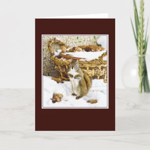 Squirrel with pinecones - greeting card