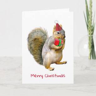 Squirrel with Red Gift Christmas Card