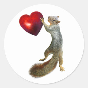 Squirrel with Red Heart Sticker