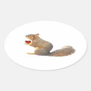 Squirrel with Red Heart Stickers