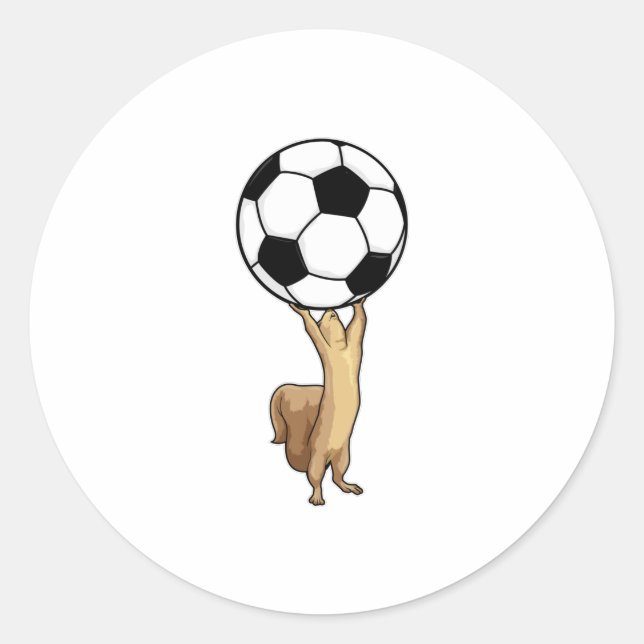 Squirrel with Soccer ball Classic Round Sticker (Front)