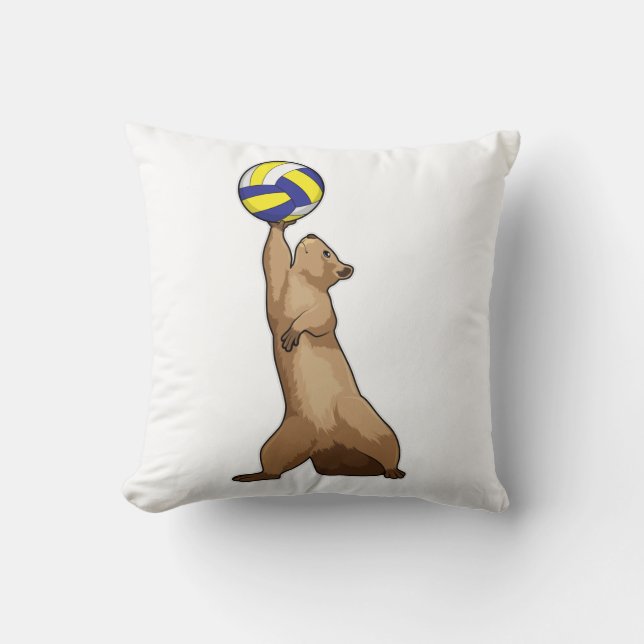 Squirrel with Volleyball Cushion (Front)