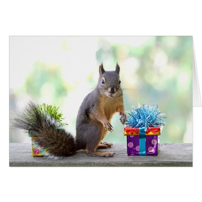 Squirrel with Wrapped Presents (Front Horizontal)