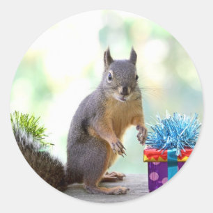 Squirrel with Wrapped Presents Classic Round Sticker
