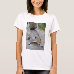 Squirrel Women's Shirt