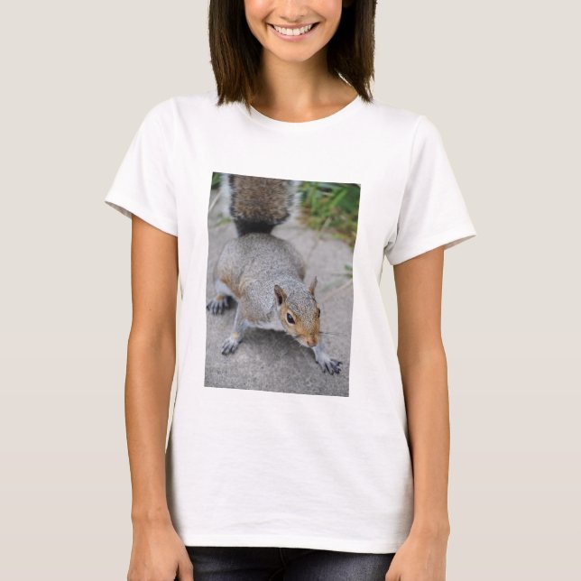 Squirrel Women's Shirt (Front)