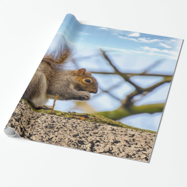 Squirrel Wrapping Paper (Unrolled)