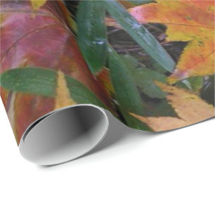 Squirrel Wrapping Paper