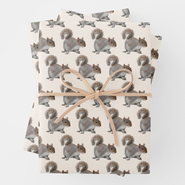 Squirrel Wrapping Paper Sheet  (In situ)