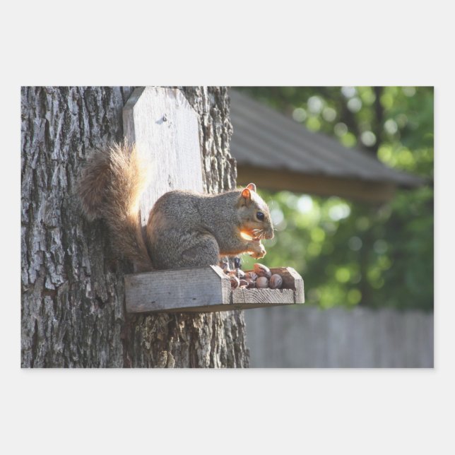 Squirrel Wrapping Paper sheets (Front)
