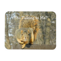 Squirrel (You Talking)