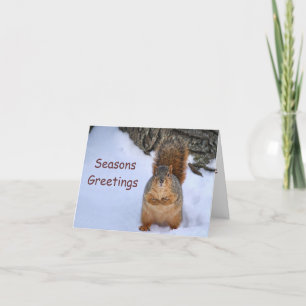 SquirrelChristmas Holiday Card