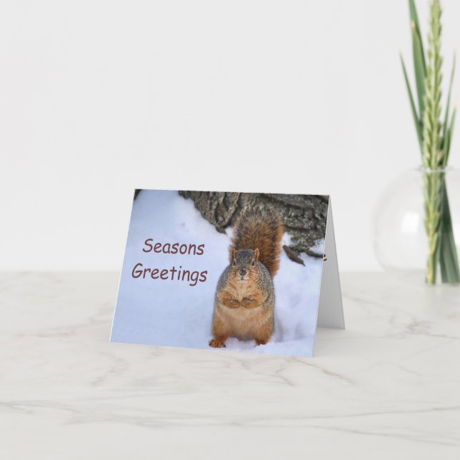 SquirrelChristmas Holiday Card (Front)