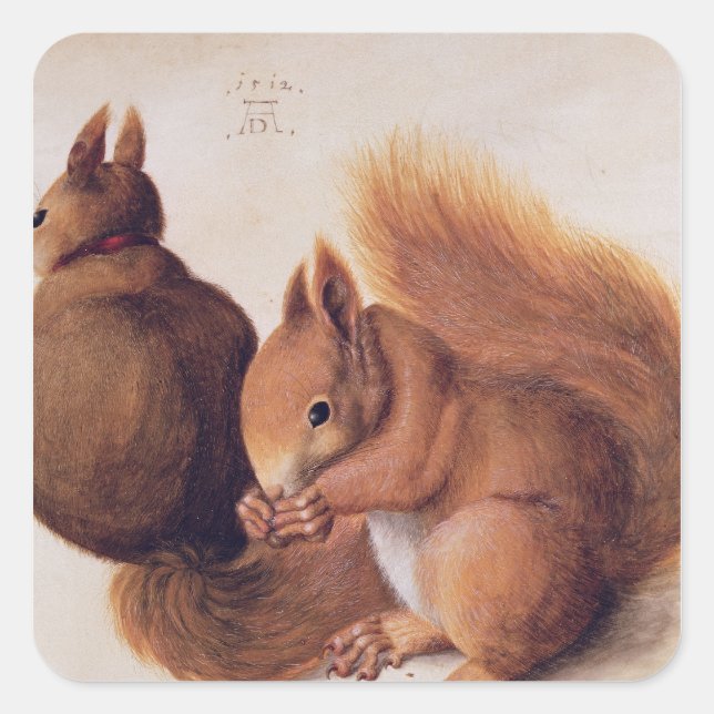Squirrels, 1512 square sticker (Front)