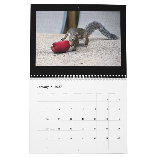 Squirrels and Their Treasures Calendar (Jan 2027)