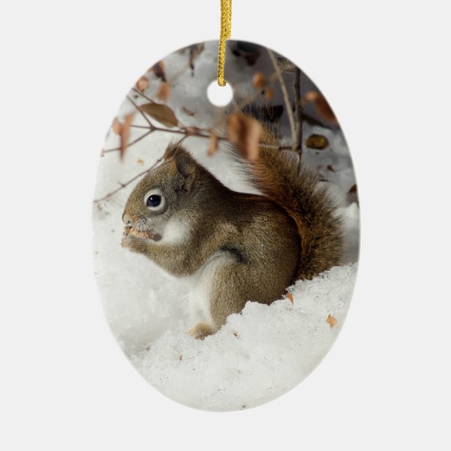 Squirrel's Breakfast Ceramic Ornament (Front)