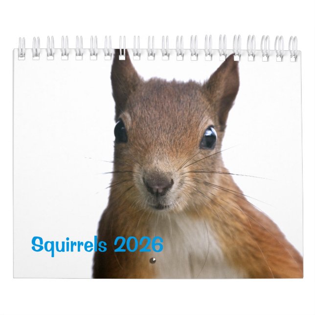 Squirrels Calendar (Cover)