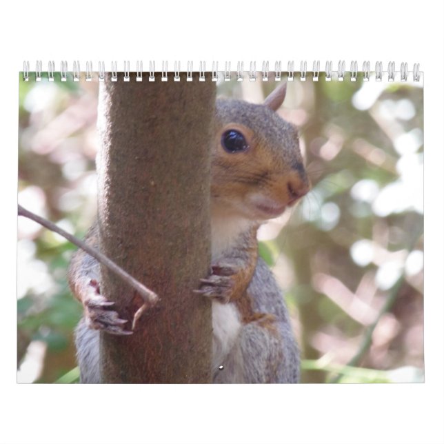 Squirrels! Calendar (Cover)