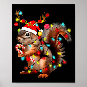 Squirrels Christmas Lights Funny Xmas Squirrel Lov Poster