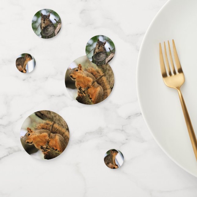 Squirrels Confetti (Group)
