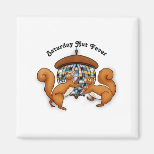 Squirrels Disco Funny Party  Magnet
