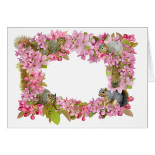 Squirrels in Flowers