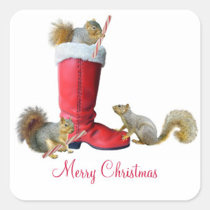Squirrels in Santa's Boot Stickers