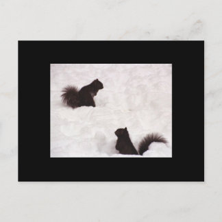 Squirrels in snow postcard