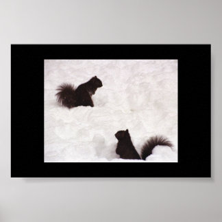 Squirrels in snow poster
