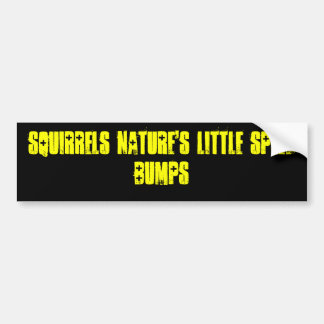 Squirrels Nature's Little Speed Bumps Bumper Sticker